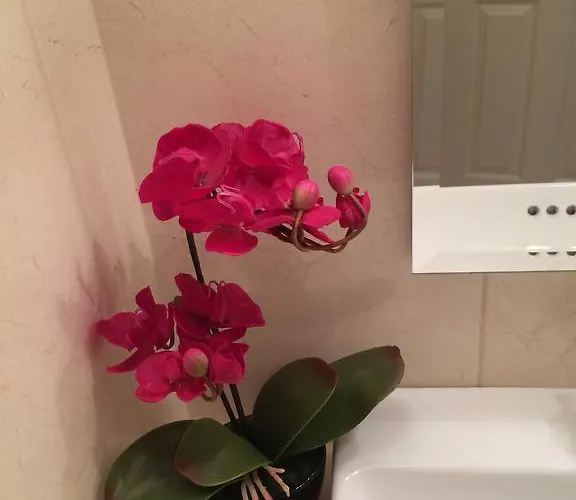 Apartamento Julia's *